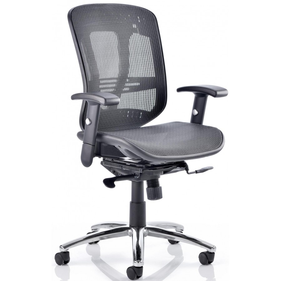 Mirage 2 Mesh Ergonomic Executive Chair